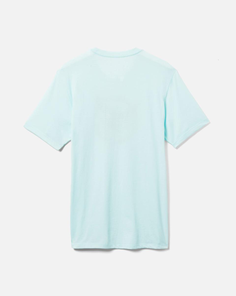 Men Teal Tinted Craft Tshirts & Tops Hurley Everyday Washed Flying Fish Short Sleeve T-Shirt - 1