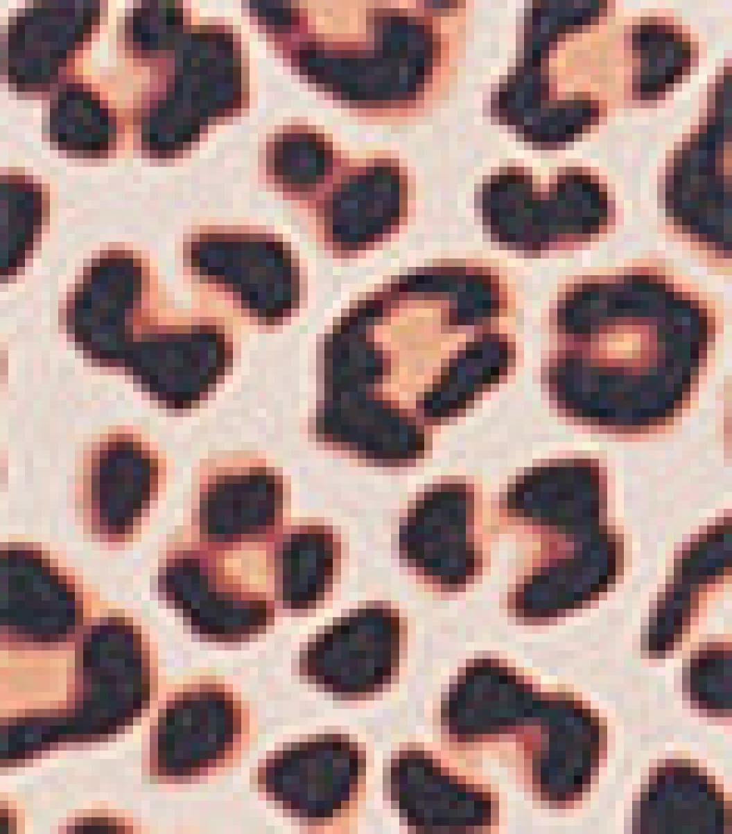 Hurley Brown Sugar Women Max Leopard Moderate Tab Side High Waist Swim Sleek - 4