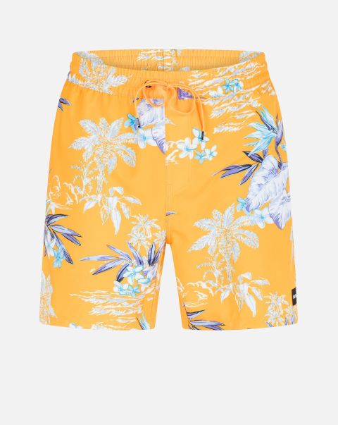 Boardshorts Markdown Cannonball Volley 17