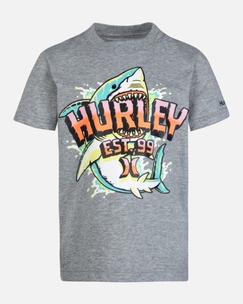 Kids Dk Grey Heather Hurley Tshirts Little Boys Big Bite Tee Accessible